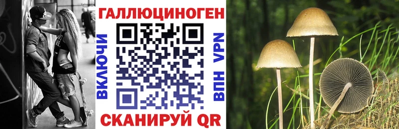 Купить  Иркутск  Псилоцибиновые грибы Magic Shrooms 